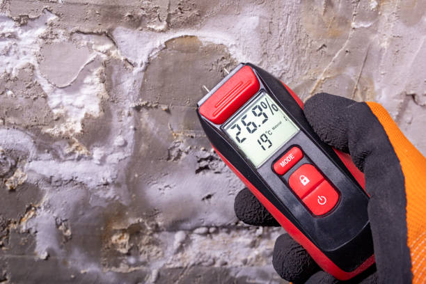 Best Commercial Mold Removal  in Waltham, MA