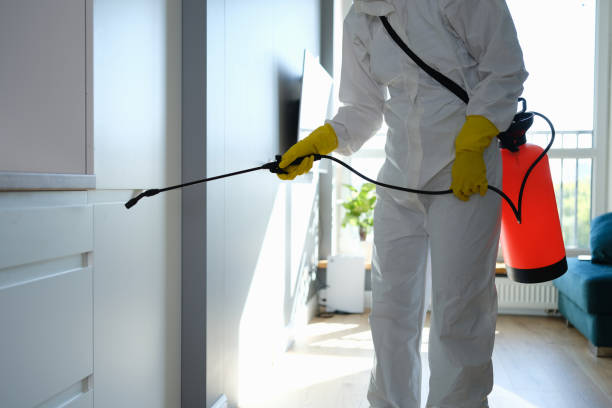 Mold Testing and Removal in Waltham, MA